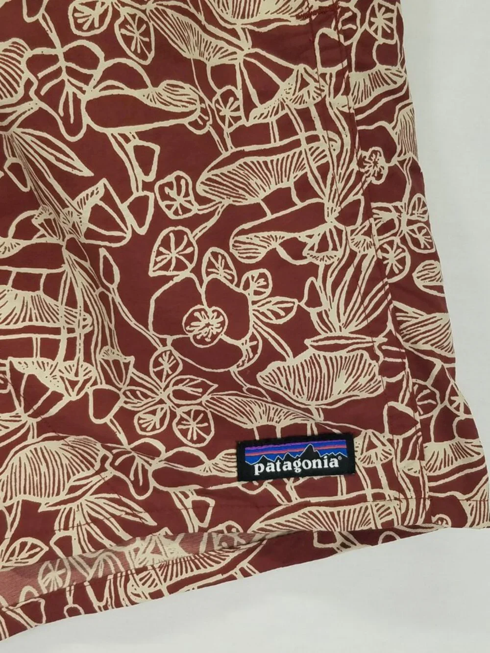 Patagonia 5
